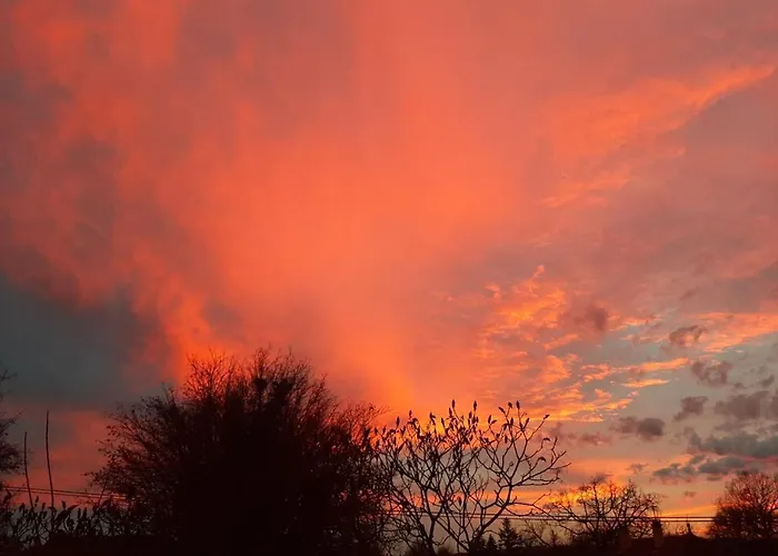 Les Jardins De Virginie